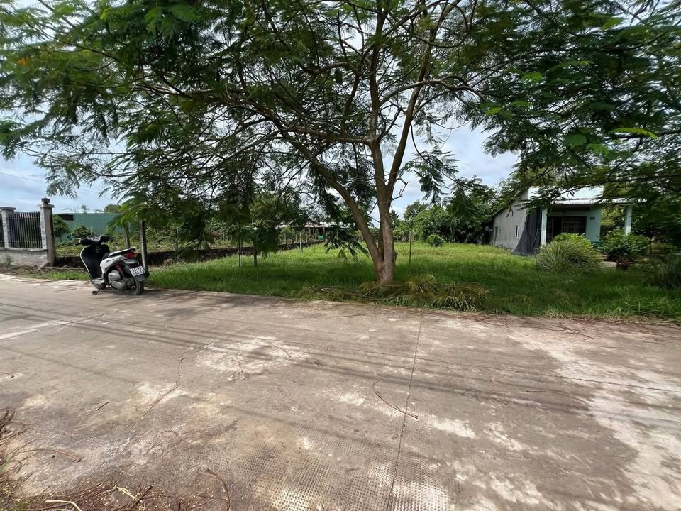 Đất thổ cư Hòa Khánh Tây, Đức Hòa, 259m² - Giá đầu tư hấp dẫn!