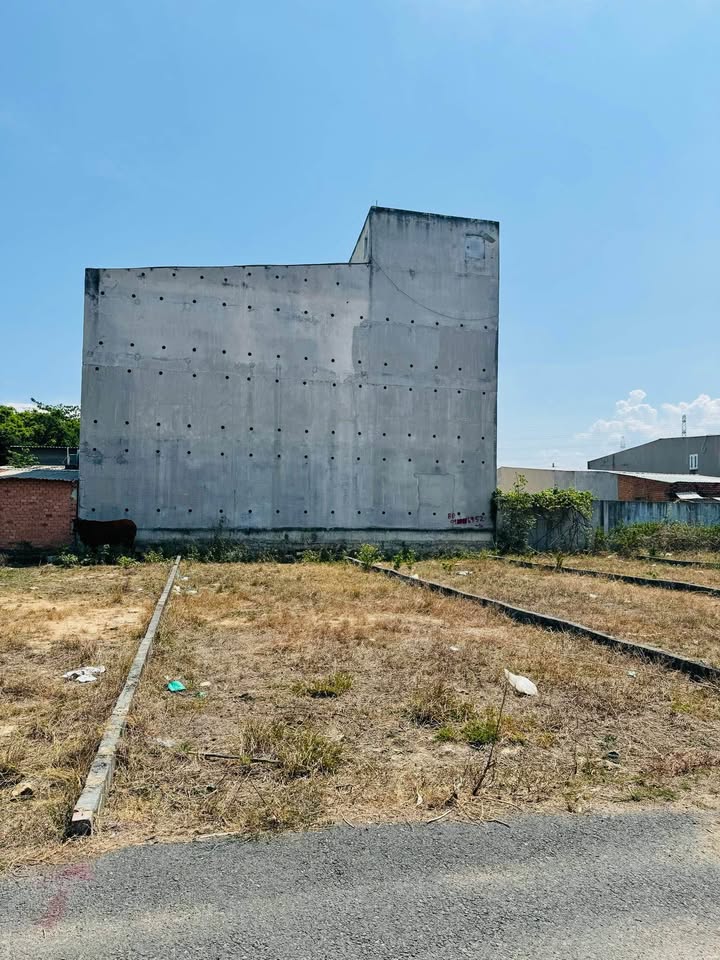 Đất thổ cư Phường Tân Phước 100m² giá 1.16 tỷ - Khu dân cư đông đúc!