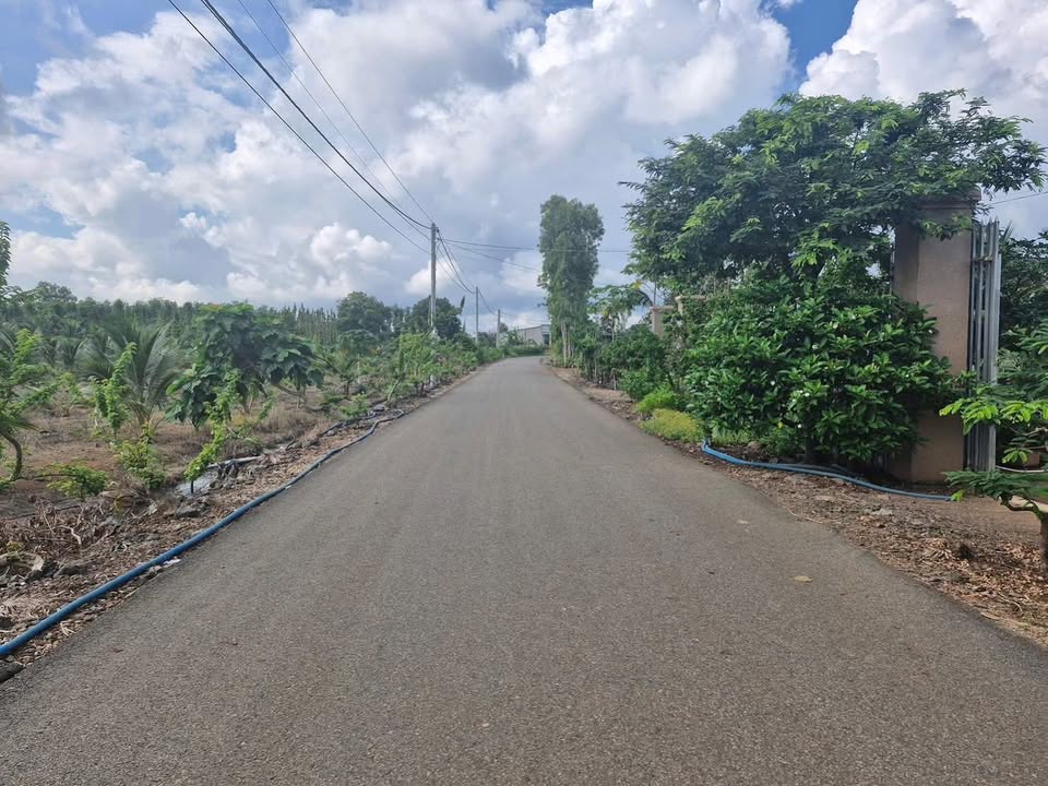 Nhà C4 đẹp tại Nghĩa Thành, Châu Đức 485.9m² giá 2.2 tỷ - Tiện ích xung quanh đỉnh cao!