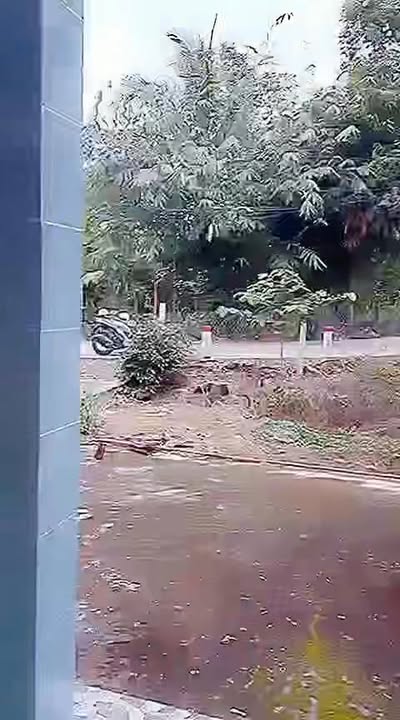 Nhà cấp 4 Long Khánh, Cai Lậy 303m² giá 1.05 tỷ - Cơ hội đầu tư tuyệt vời!