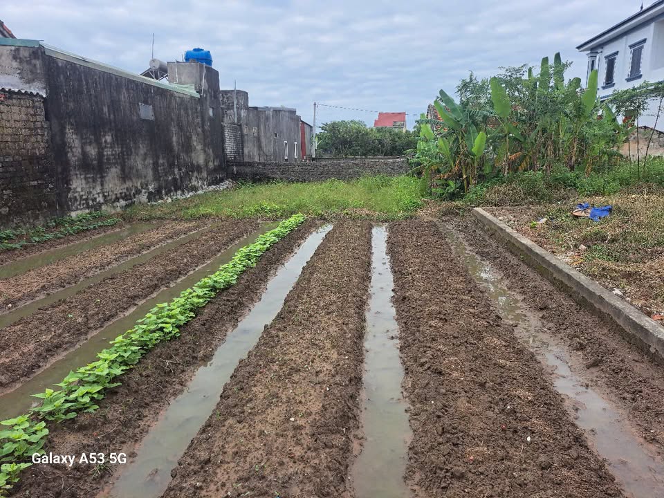 Đất nền đẹp tại Xuân Bắc, Diễn Xuân, Nghệ An 261,3m² - Đầu tư sinh lời hấp dẫn!