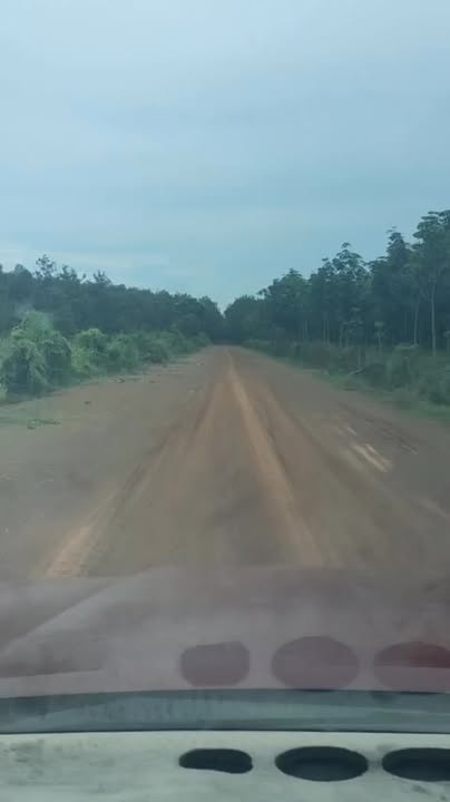 Đất nền Dầu Tiếng Bình Dương 10.000m² giá 5.5 tỷ - Cơ hội đầu tư sinh lời!