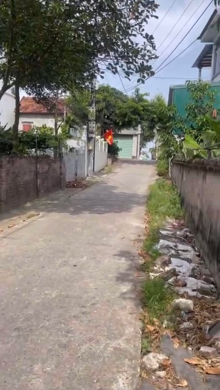 Đất nền Tự Nhiên, Thường Tín 44m² giá 1.87 tỷ - Ô tô đỗ cửa, cơ hội đầu tư tuyệt vời!