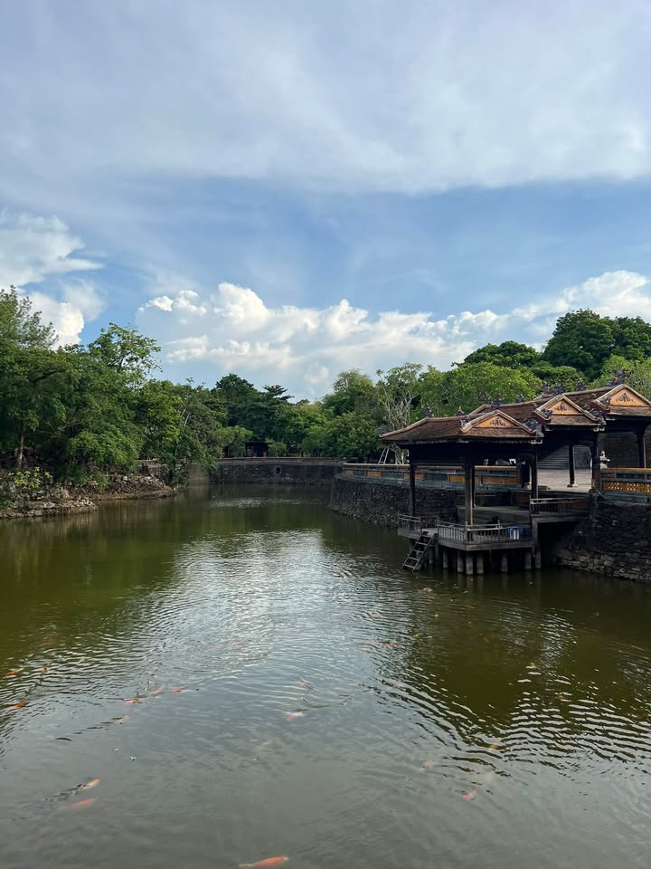 Đất nền Tân Mỹ Ninh Xuân 3200m² giá 5.12 tỷ - Sổ đỏ chính chủ, đầu tư sinh lời!