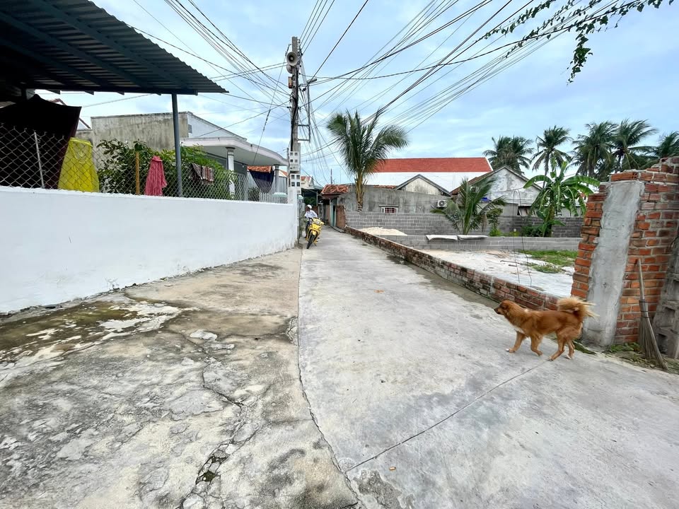 Đất Nền Phường Ninh Thủy, Ninh Hòa 90m² giá 900 triệu - Cách biển Dốc Lết chỉ 200m!