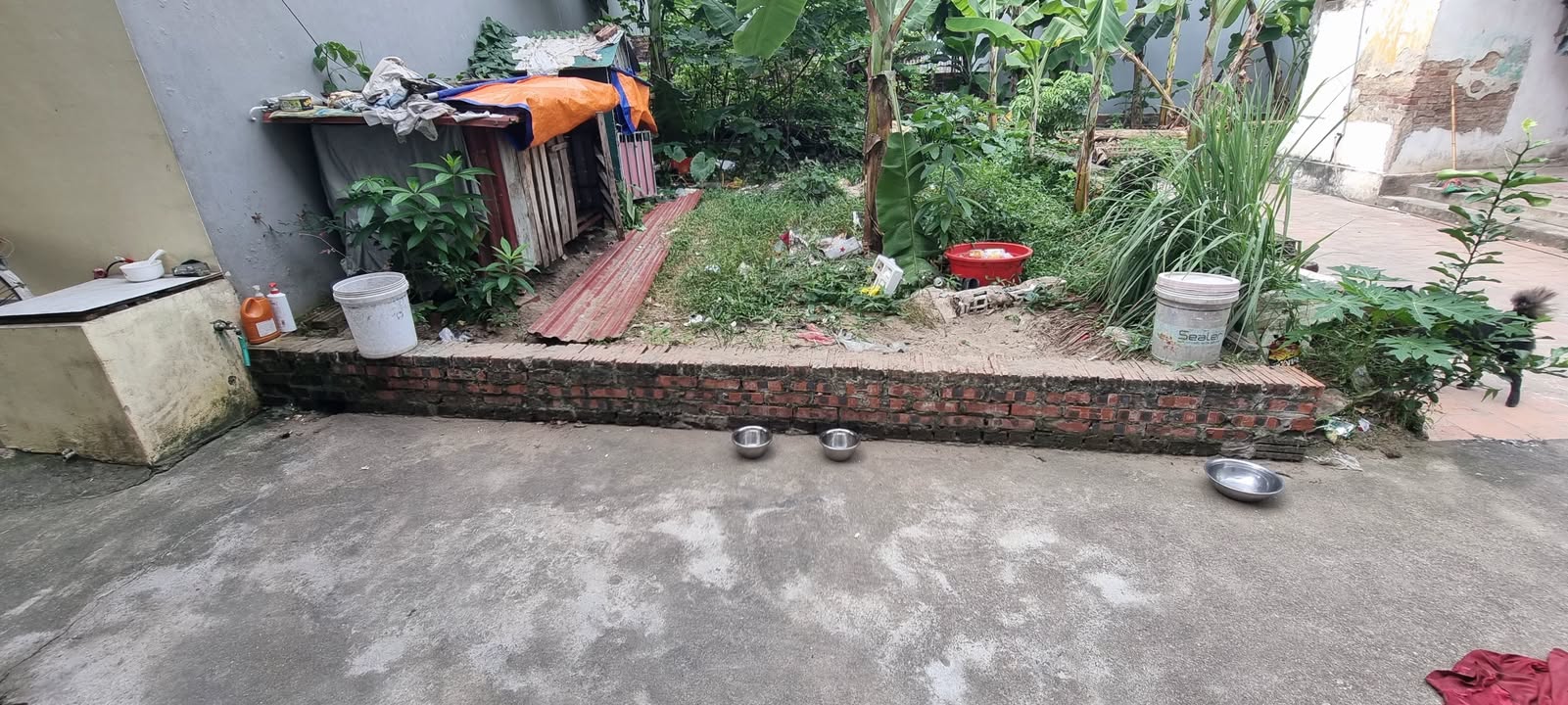 Đất nền 44,3m² tại Nguyên Khê, Đông Anh - Giá đầu tư chỉ 3 tỷ!