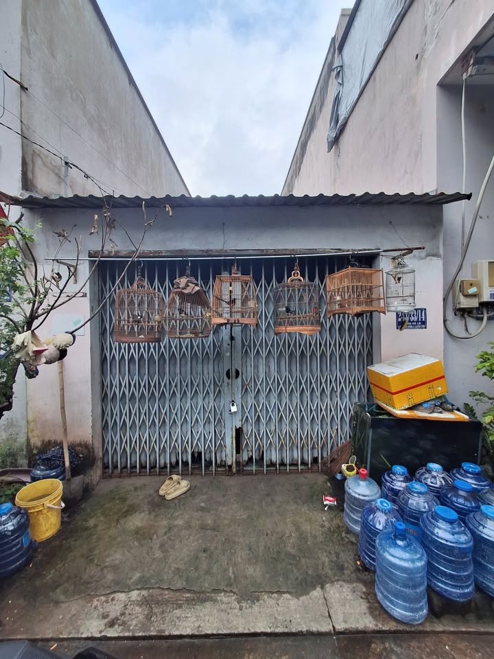 Nhà cấp 4 Hẻm 8m Đường Mã Lò, 68m² giá 5 tỷ - Cơ hội đầu tư hấp dẫn!