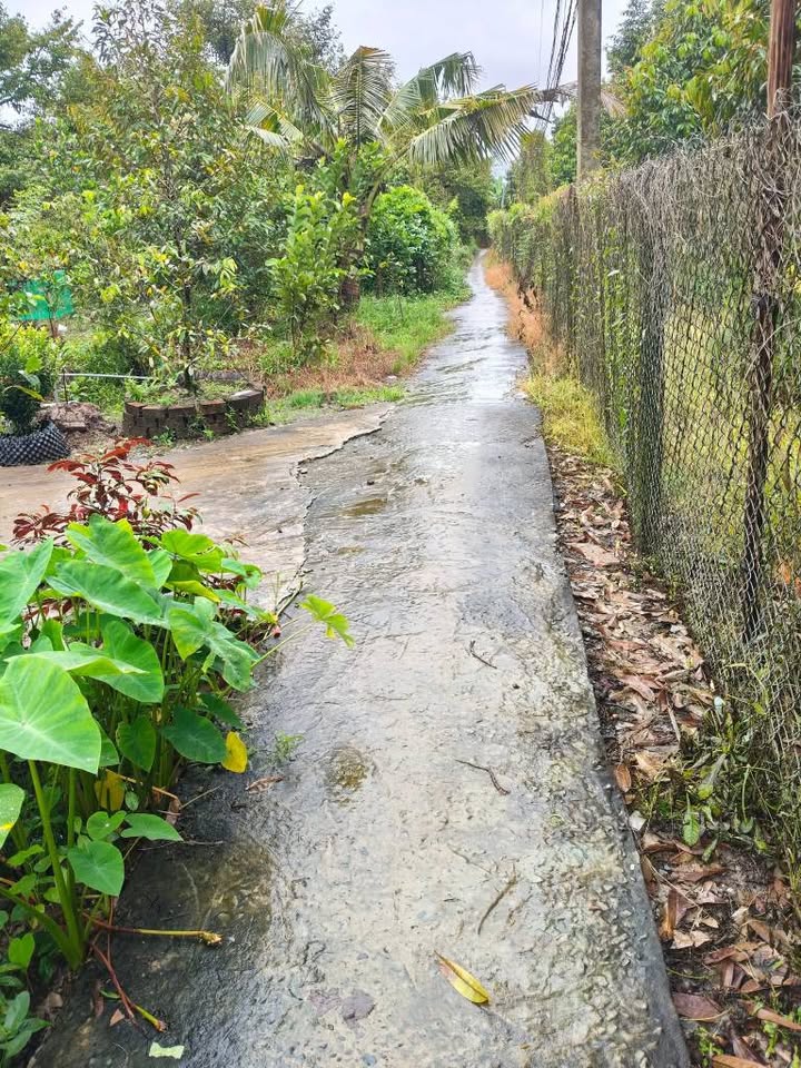 Đất nền 300m² xã Cẩm Sơn, Cai Lậy - Giá chỉ 500 triệu!