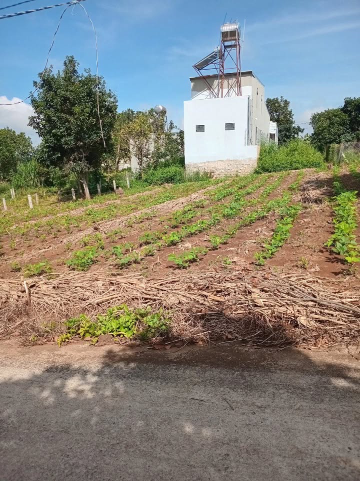 Đất nền 129m² tại xã Đông Thanh, Lâm Hà - Giá chỉ 700 triệu, thương lượng nhẹ!