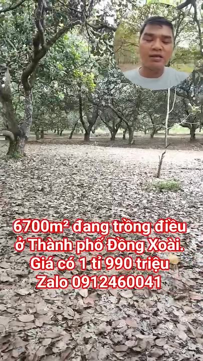 Đất nền Tiến Hưng, Đồng Xoài 60,000m² giá 1.9 tỷ - Cơ hội đầu tư tuyệt vời!