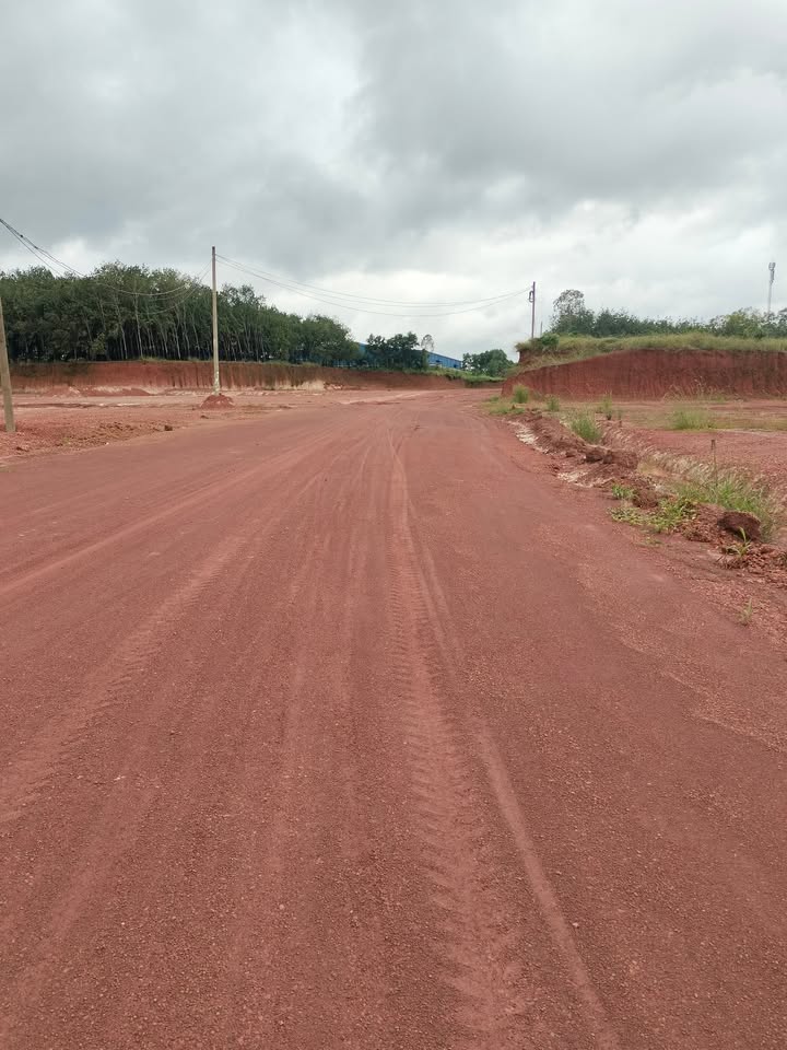 Đất nền Tân Bình, Đồng Xoài 1250m² - Cơ hội đầu tư hấp dẫn!