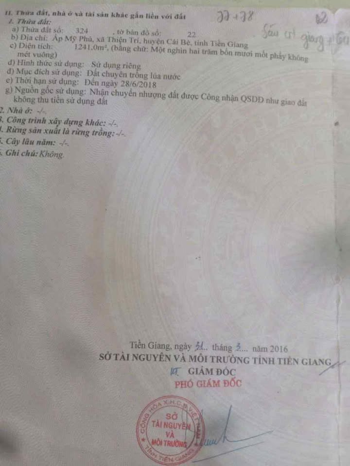 Đất thổ cư xã Thiện Trí, huyện Cái Bè 1241m² giá 870 triệu - Đầu tư sinh lời ngay!