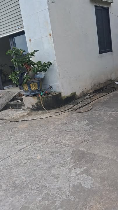 Đất nền khu phố Doãn Thượng, Xuân Lâm, 85m² - Cơ hội đầu tư tuyệt vời!