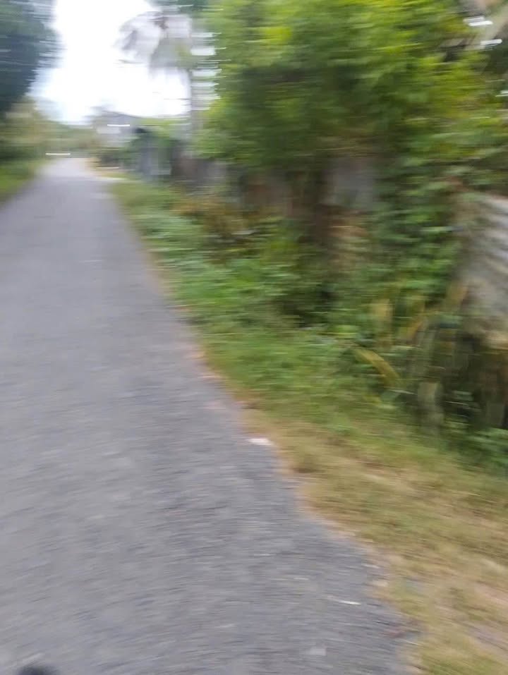 Đất mặt tiền đường Huỳnh Văn Thu, Châu Đốc, 1000m² - Giá 1.3 tỷ, Thương lượng chính chủ!