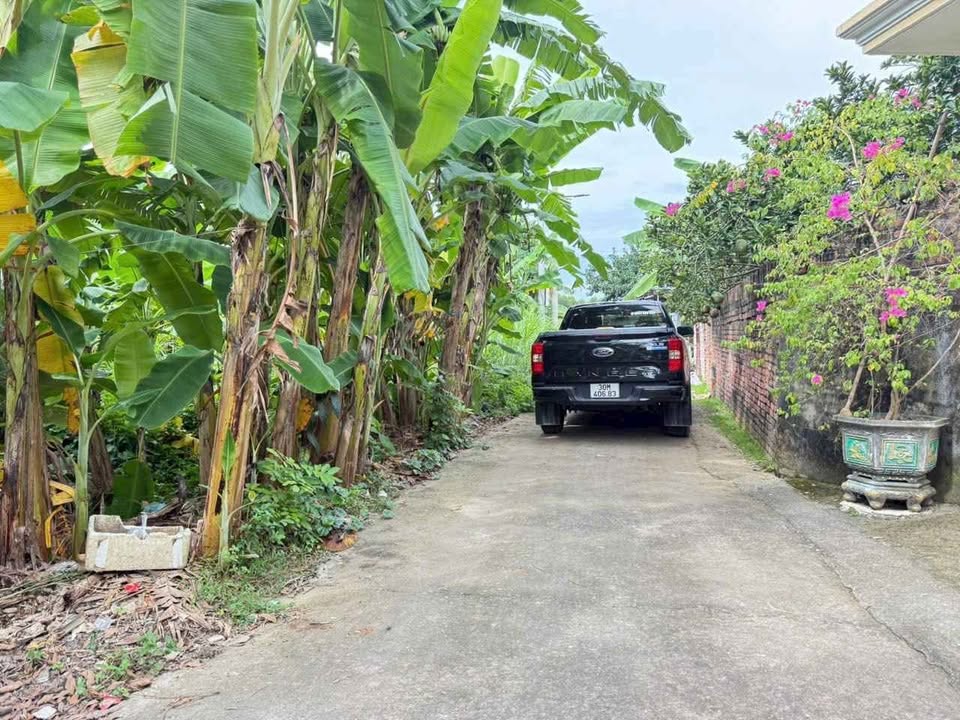 Đất ở phường Sơn Tây 250m² giá 900 triệu - Ô tô đỗ cửa, đầu tư sinh lời!