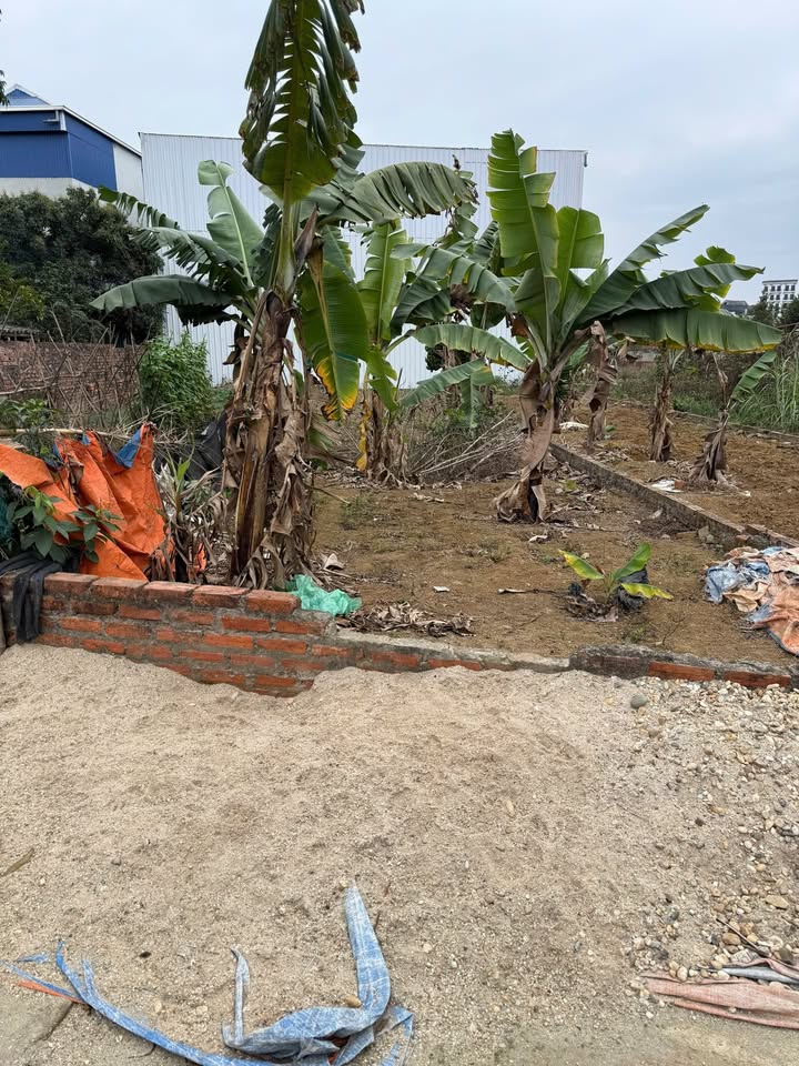 Đất nền Thạch Thất 116m² giá chỉ 3.48 tỷ - Đầu tư sinh lời ngay!