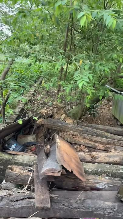 Đất nền 75m² tại Khu giãn dân Đồng Cầu, Thạch Thất - Cơ hội đầu tư tuyệt vời!