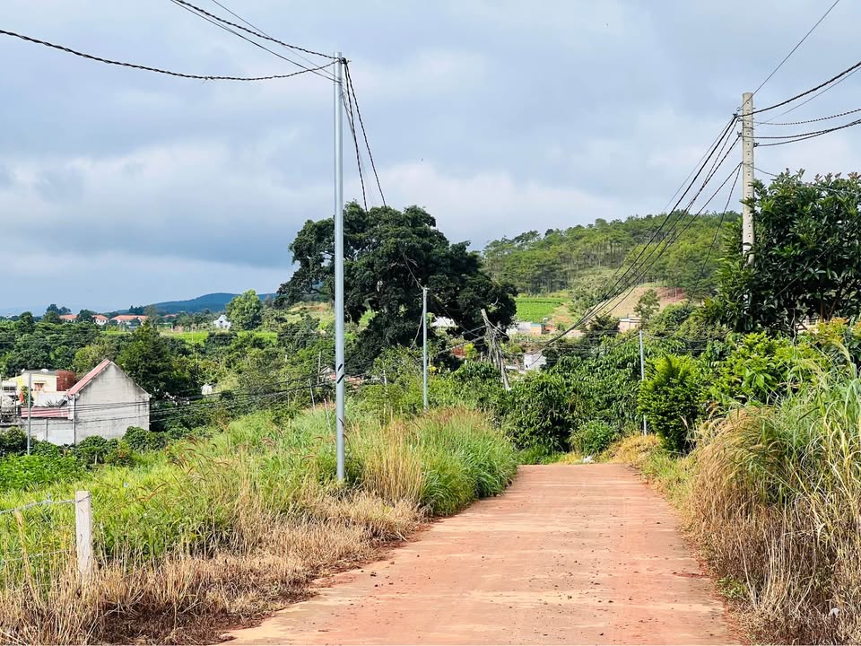 Đất nền Nam Ban Lâm Hà 653m² giá chỉ 2 triệu/m² - Cơ hội đầu tư tuyệt vời!