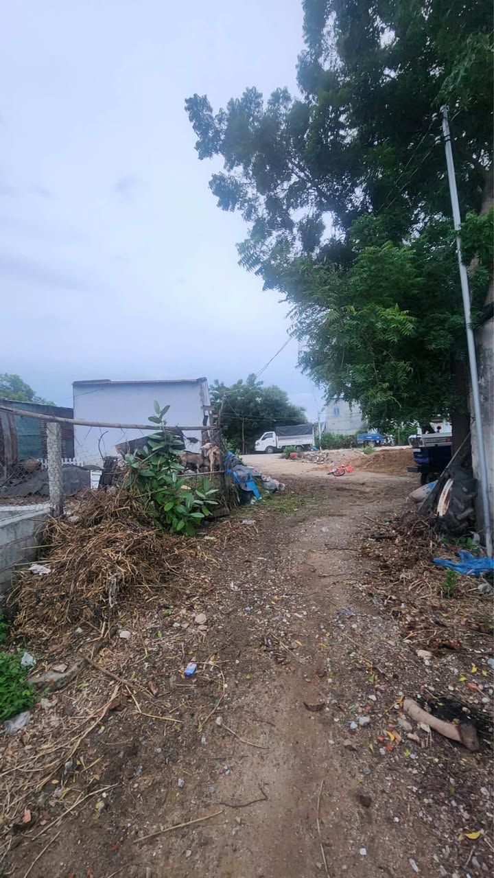 Đất vườn 428m² phường Văn Hải giá 890 triệu - Hướng Nam, đường ô tô