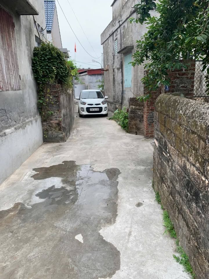 Đất nền khu phố Đông Linh 2, xã Phụ Dực, 105m² - Ô tô vào tận nơi!