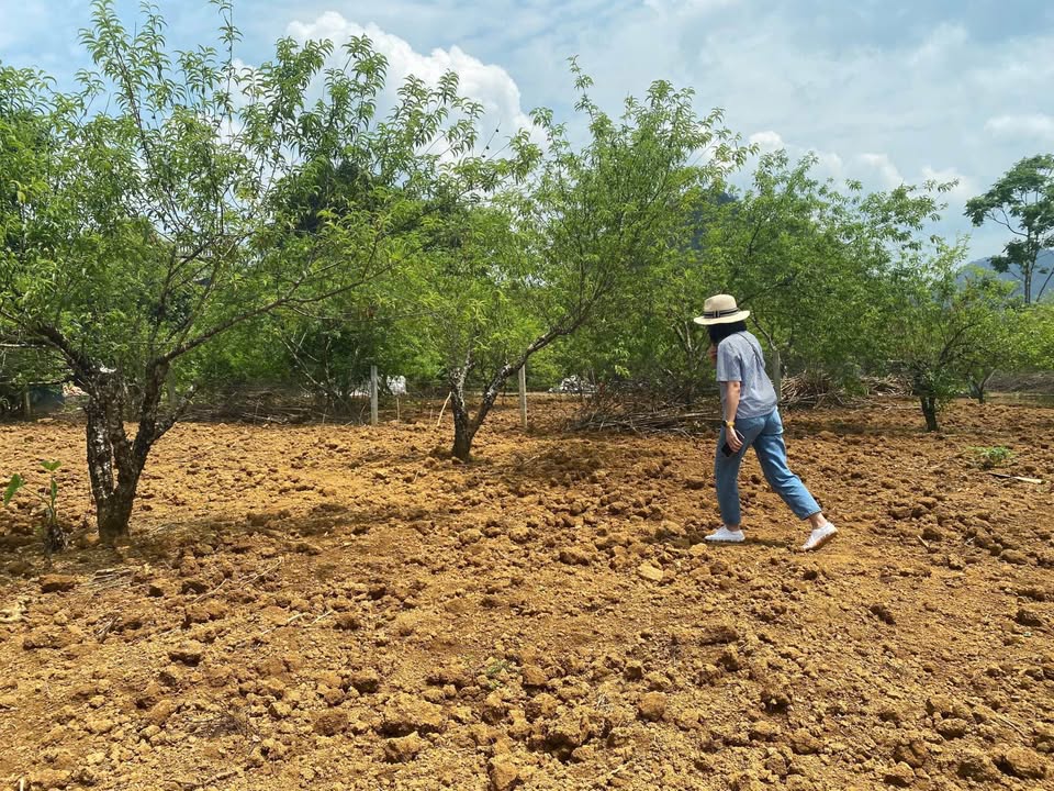 Đất thổ cư 200m² tại xã Tú Sơn, Kim Bôi, Hòa Bình - Giá chỉ 2 tỷ!