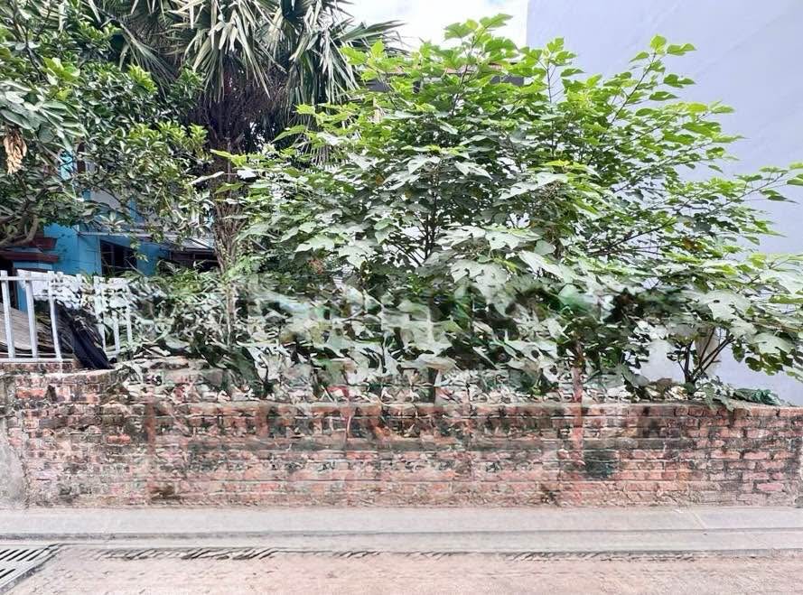 Đất Cổ Nhuế Bắc Từ Liêm 53m² giá 10 tỷ - Đầu tư an toàn, vị trí đắc địa!