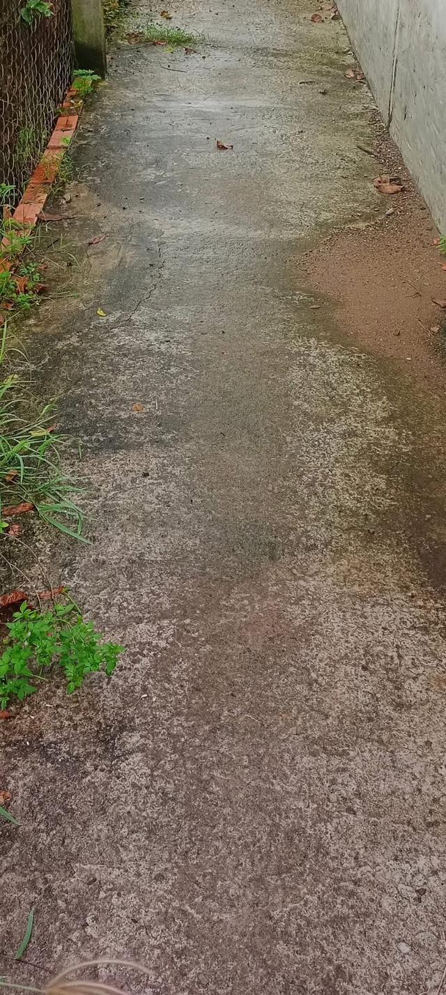 Đất thổ cư Phú Sơn Chợ Lách 2600m² giá 730 triệu - Đường rộng, vị trí đẹp!