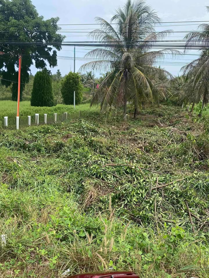 Đất mặt tiền Quốc lộ 57B, Thới Lai, 798m² - Giá chỉ 899 triệu!