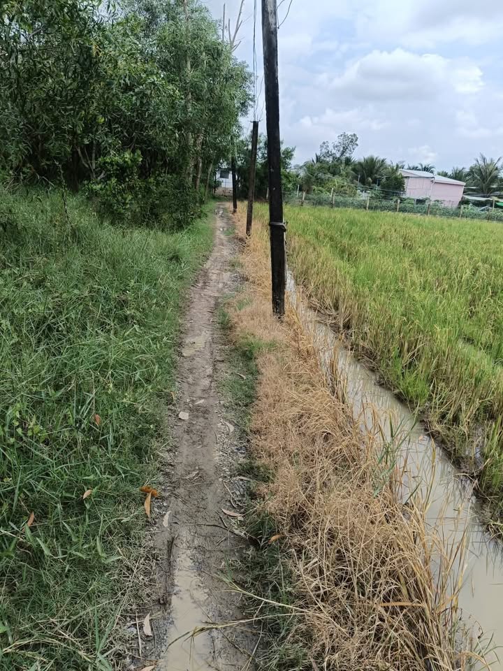 Đất thổ cư 663m² xã Tân Tây, Gò Công Đông chỉ 550 triệu - Cơ hội đầu tư tuyệt vời!