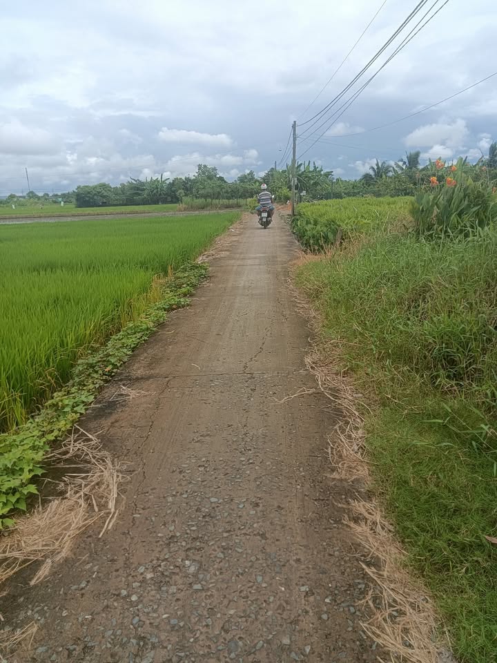 Đất nền Gò Công 119,9m² giá 650 triệu - Pháp lý rõ ràng, tiện ích đầy đủ!