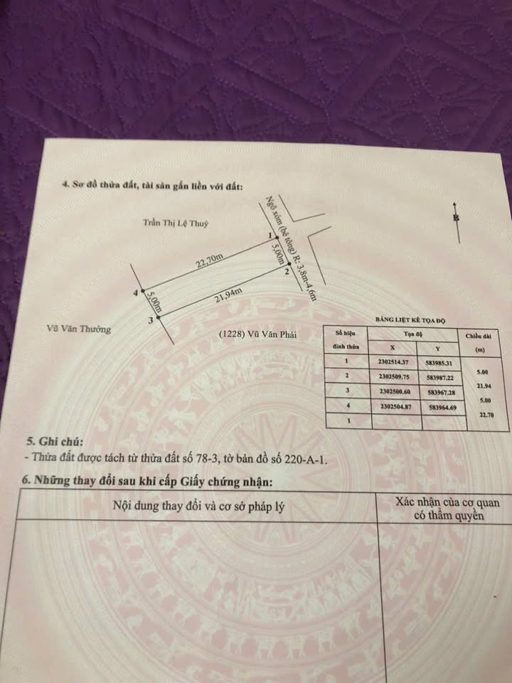 Đất chính chủ tại thôn Trần Phú, xã An Thắng, An Lão - 100m² chỉ 1 tỷ VND