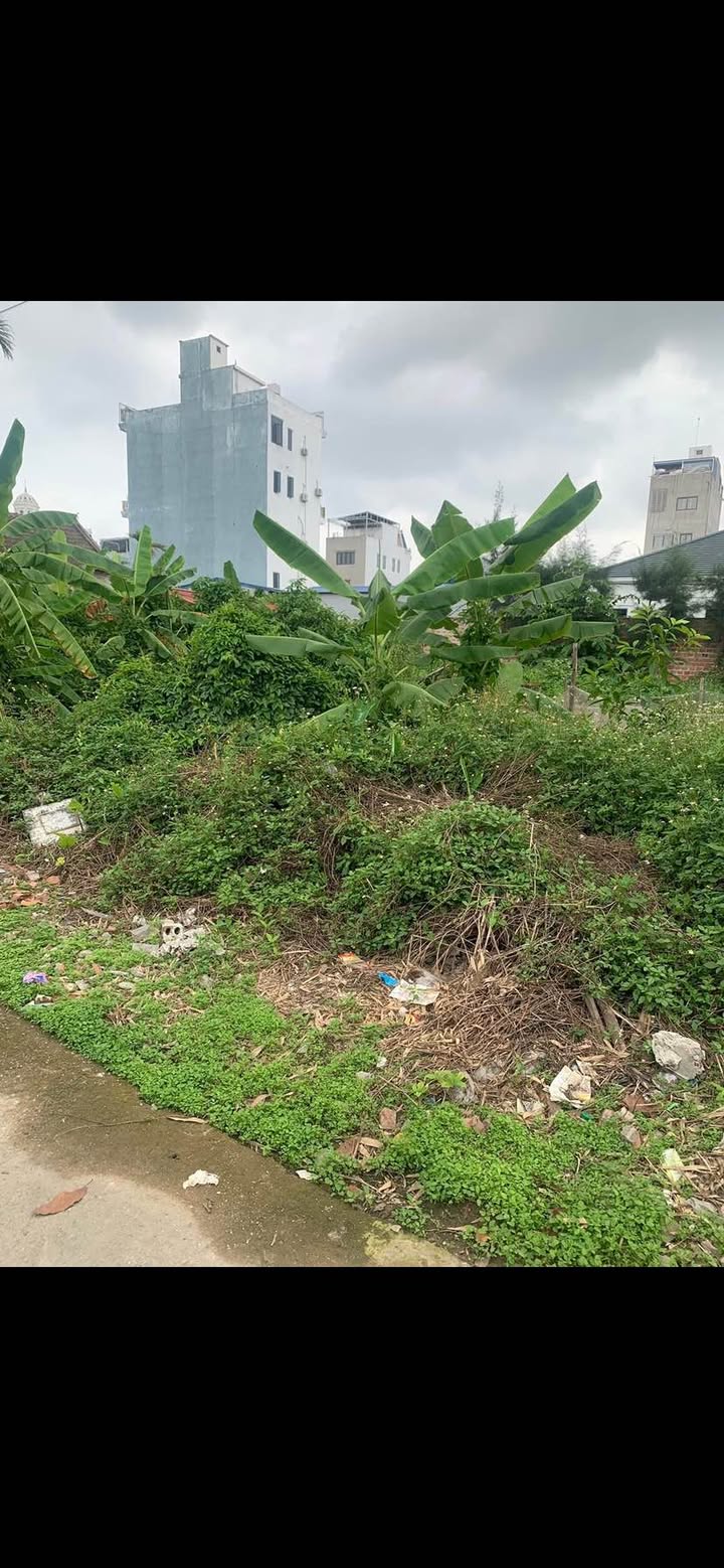 Đất nền Thủy Nguyên 500m² giá 22.5 tỷ - Chính chủ bán gấp!