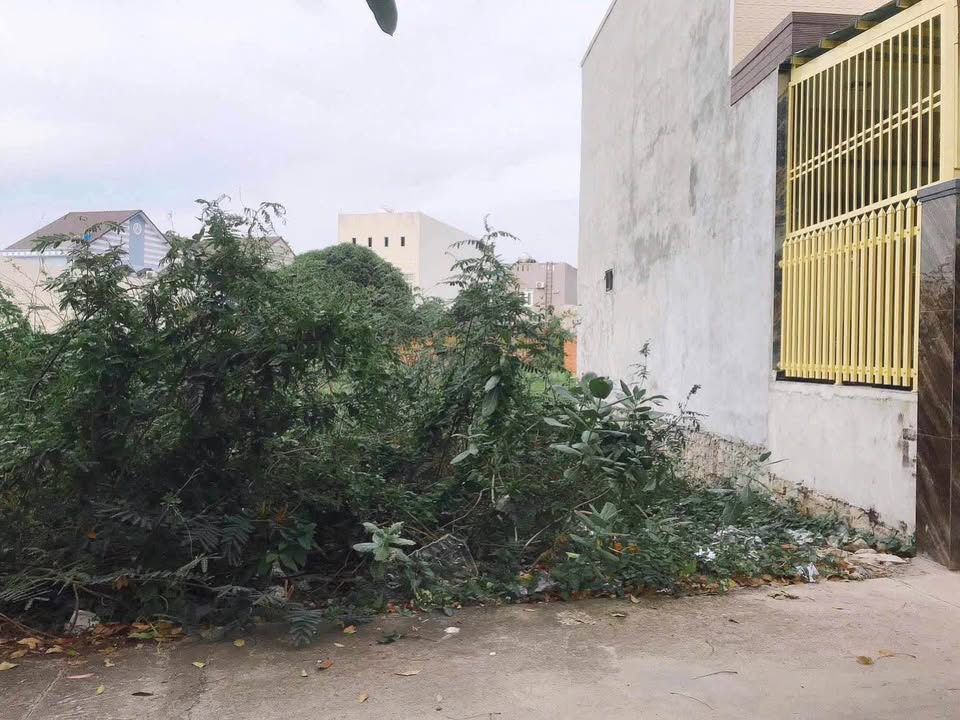 Đất Long Hải Bà Rịa - Vũng Tàu 79.6m² giá 1.35 tỷ - Cơ hội vàng đầu tư!