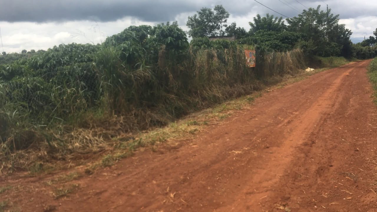 Đất thổ cư Đinh Trang Hòa 13.178m² giá 5.075 tỷ - Đường lớn thoáng đãng, thuận tiện xe ô tô!