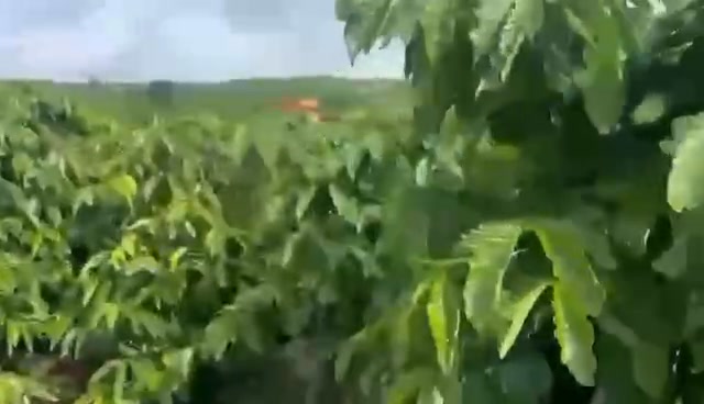 Đất ở Tân Văn, Lâm Hà 14.400m² chỉ 1.7 tỷ - Cơ hội đầu tư tuyệt vời!