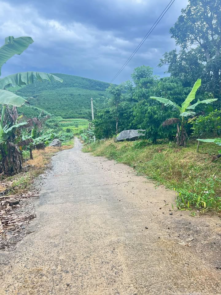 Đất Lộc Đức 6 sào giá chỉ 2.4 tỷ - Mặt tiền đường bê tông, đầu tư sinh lời!