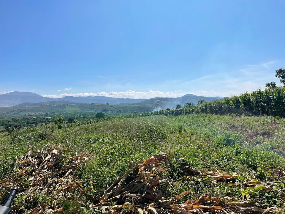 Đất nền Nam Hà, Lâm Hà 1060m² giá thỏa thuận - Vị trí lý tưởng cho đầu tư