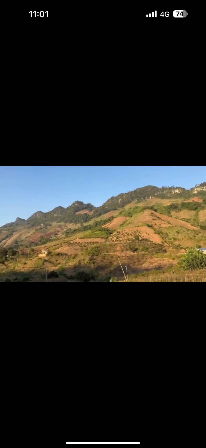 Đất nền Mộc Châu 5.000m² giá thỏa thuận - Tiềm năng đầu tư lớn!