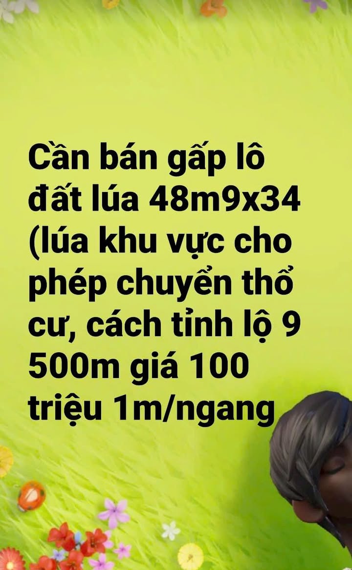 Đất thổ cư 1662m² tại ấp Nhơn Hòa 1, Đức Hòa - Giá chỉ 4.89 tỷ!