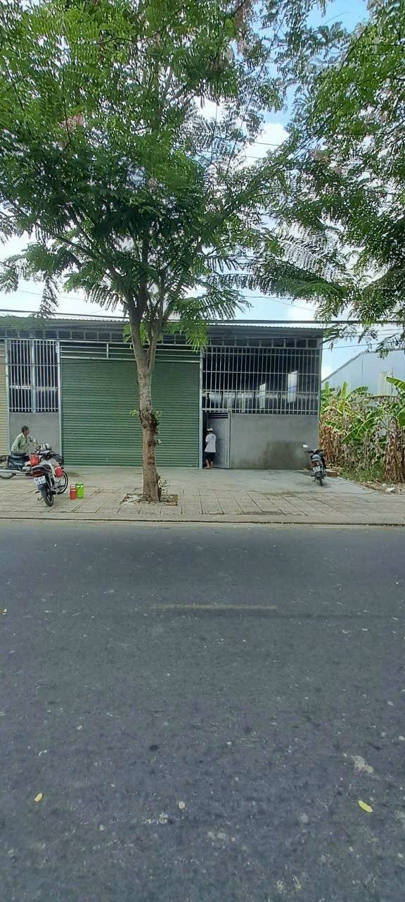 Kho cho thuê tại đường Lộ Hòa Đông, phường Cao Lãnh, 250m² - Đường lớn, xe tải vào thoải mái!