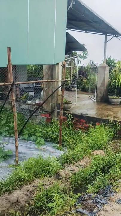 Đất nền Phù Mỹ Tây 300m² giá 400 triệu - Gần ga Phù Mỹ, vị trí tiềm năng!