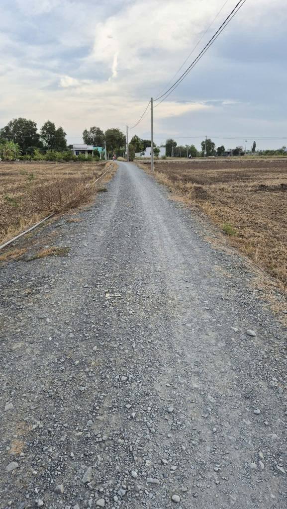 Bán gấp nhà vườn 3000m² tại xã Phước Đông, Cần Đước - Giá 2.4 tỷ thương lượng!