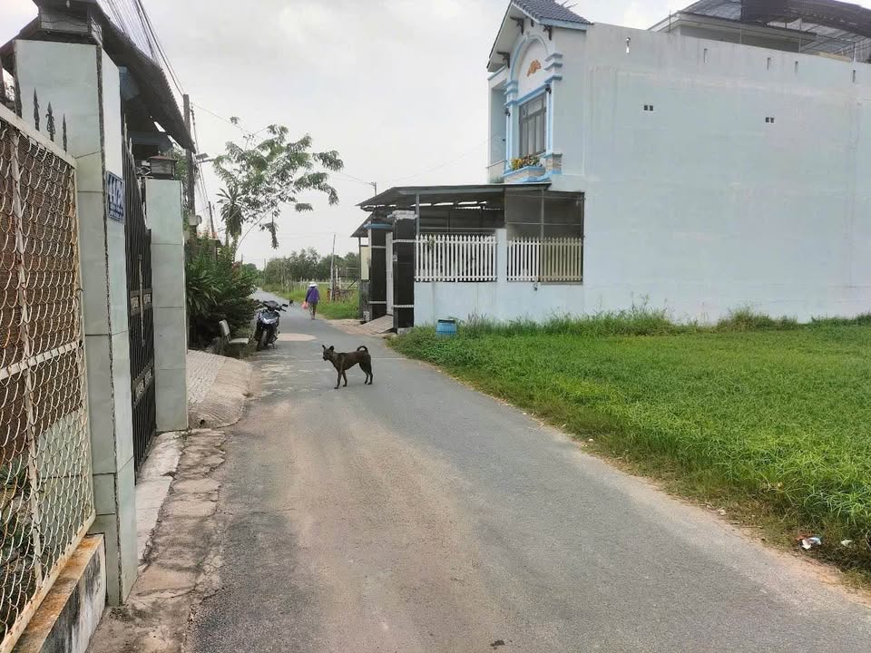 Đất nền Tân Phú Trung Củ Chi 2600m² giá 14.5 tỷ - Đầu tư sinh lời cực tốt!