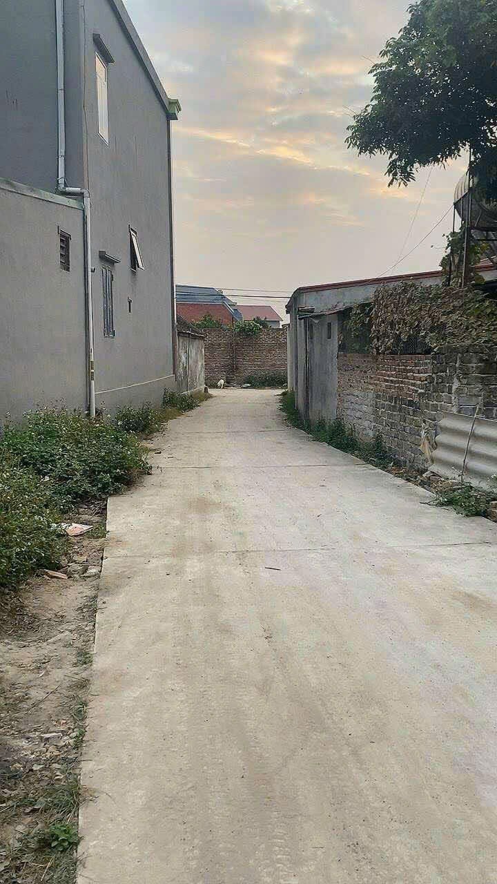 Đất thổ cư Bồng Lai, Quế Võ 97m² giá chỉ 1.1 tỷ - Đầu tư sinh lời ngay!