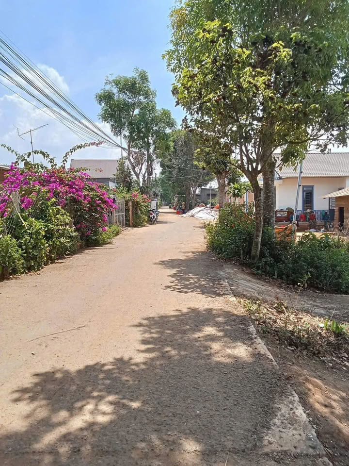 Đất thổ cư xã Tân Hội, Đức Trọng, Lâm Đồng 324m² giá 1.1 tỷ - Cơ hội đầu tư tuyệt vời!