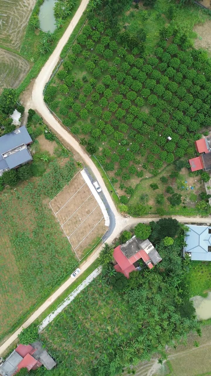 Đất nền Thọ Sơn, Triệu Sơn - 105m² giá chỉ 300 triệu - Đầu tư sinh lời ngay!