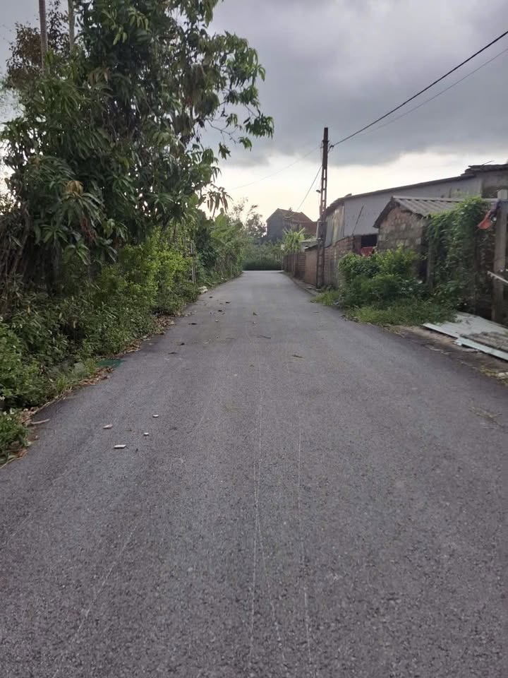 Đất thổ cư 185m² tại thôn Đông Nam, xã Thạch Bình, TP Hà Tĩnh - Sổ hồng chính chủ!