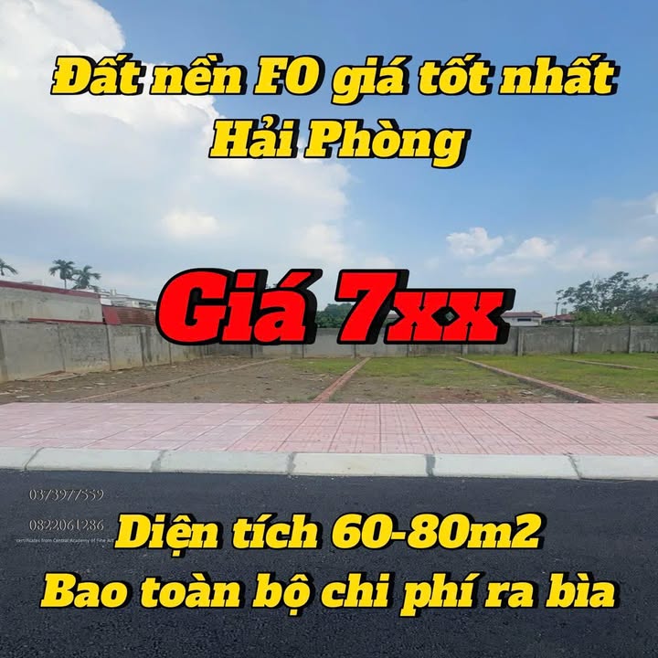 Đất nền xã Quang Hưng, An Lão 67m² giá chỉ 700 triệu - Cơ hội đầu tư hấp dẫn!