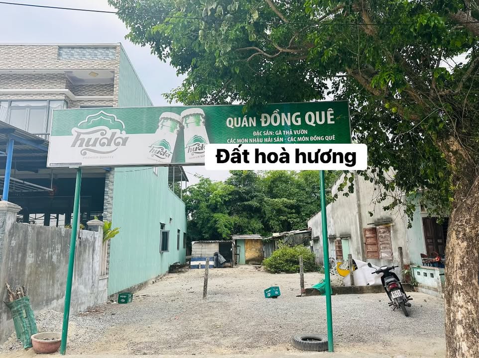 Đất vườn phường Hòa Hương Tam Kỳ 232m² giá 1.3 tỷ - Cần bán gấp!