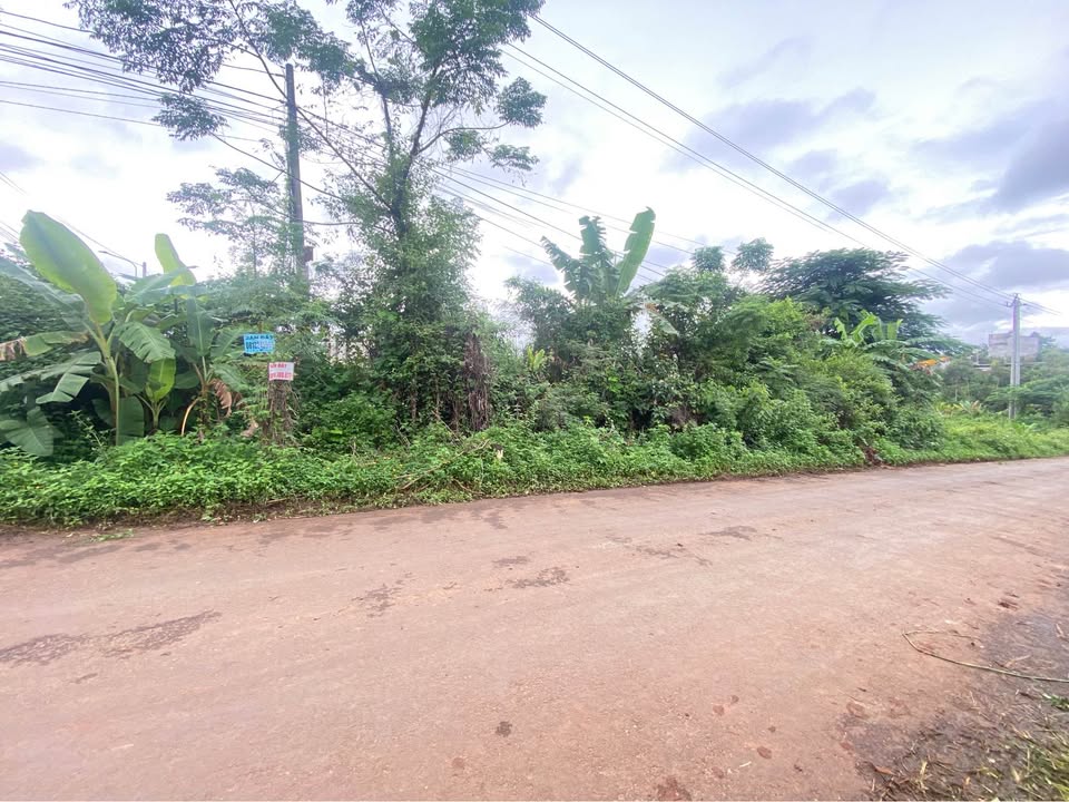 Đất thổ cư mặt tiền Nguyễn Xuân Nguyên, Tân An 39877m² giá chỉ 3.773 tỷ - Cơ hội đầu tư tuyệt vời!